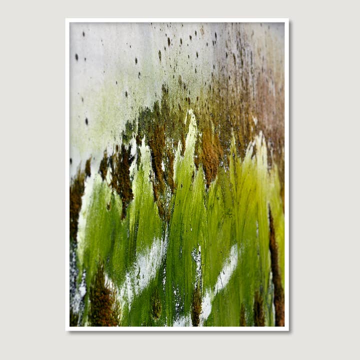 Erthe - Wholesale Art print - Dutch Moss 2 | Limited Edition art prints | Unframed2