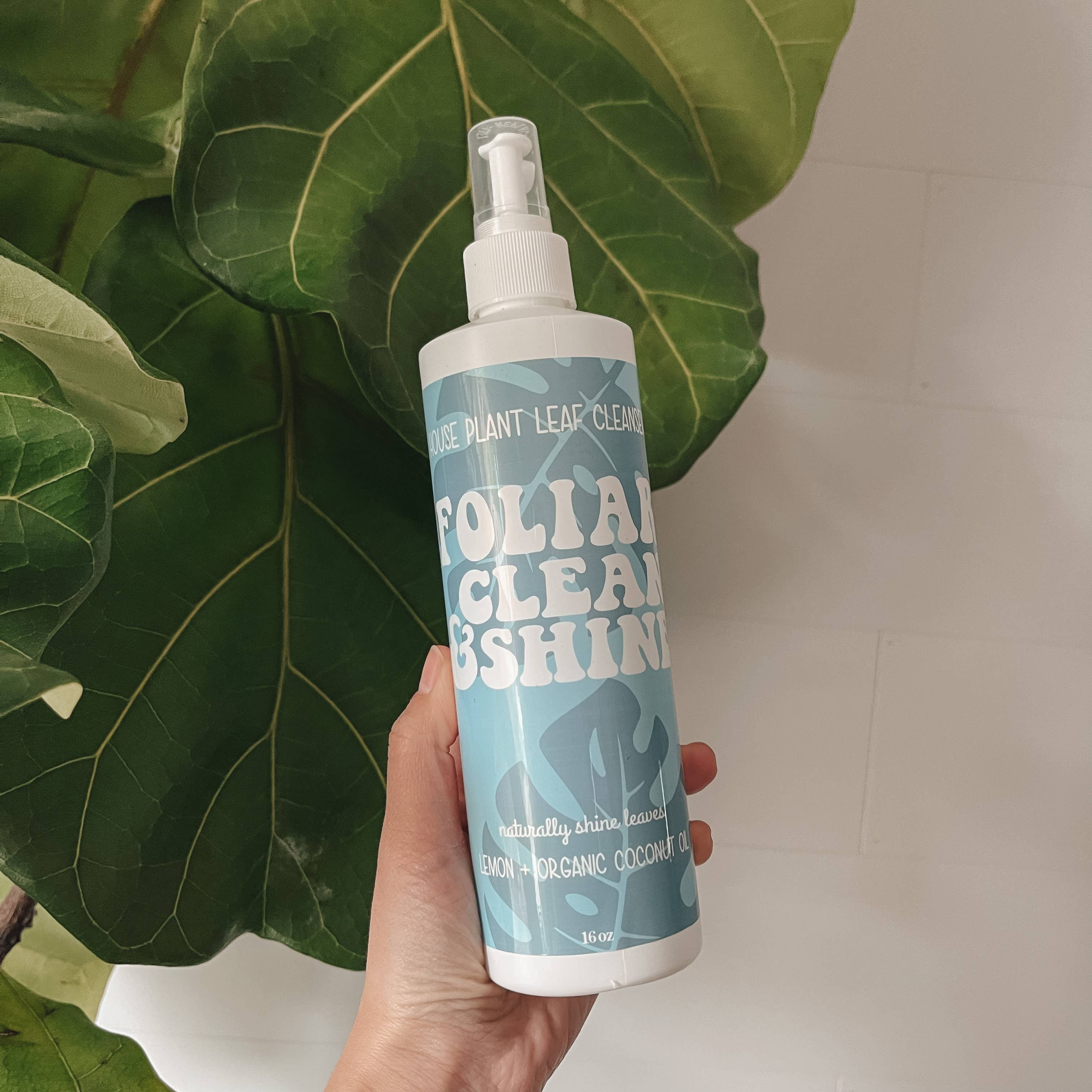 The Lush Studio - Wholesale Fertilizer - Foliar Clean & Shine - House Plant Leaf Cleanser1