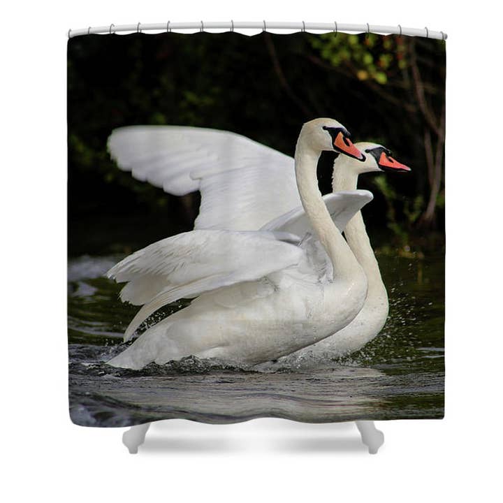 HET DOUCHEGORDIJN VAN DE ZWAAN voor wholesale door sorayadapuzzostore