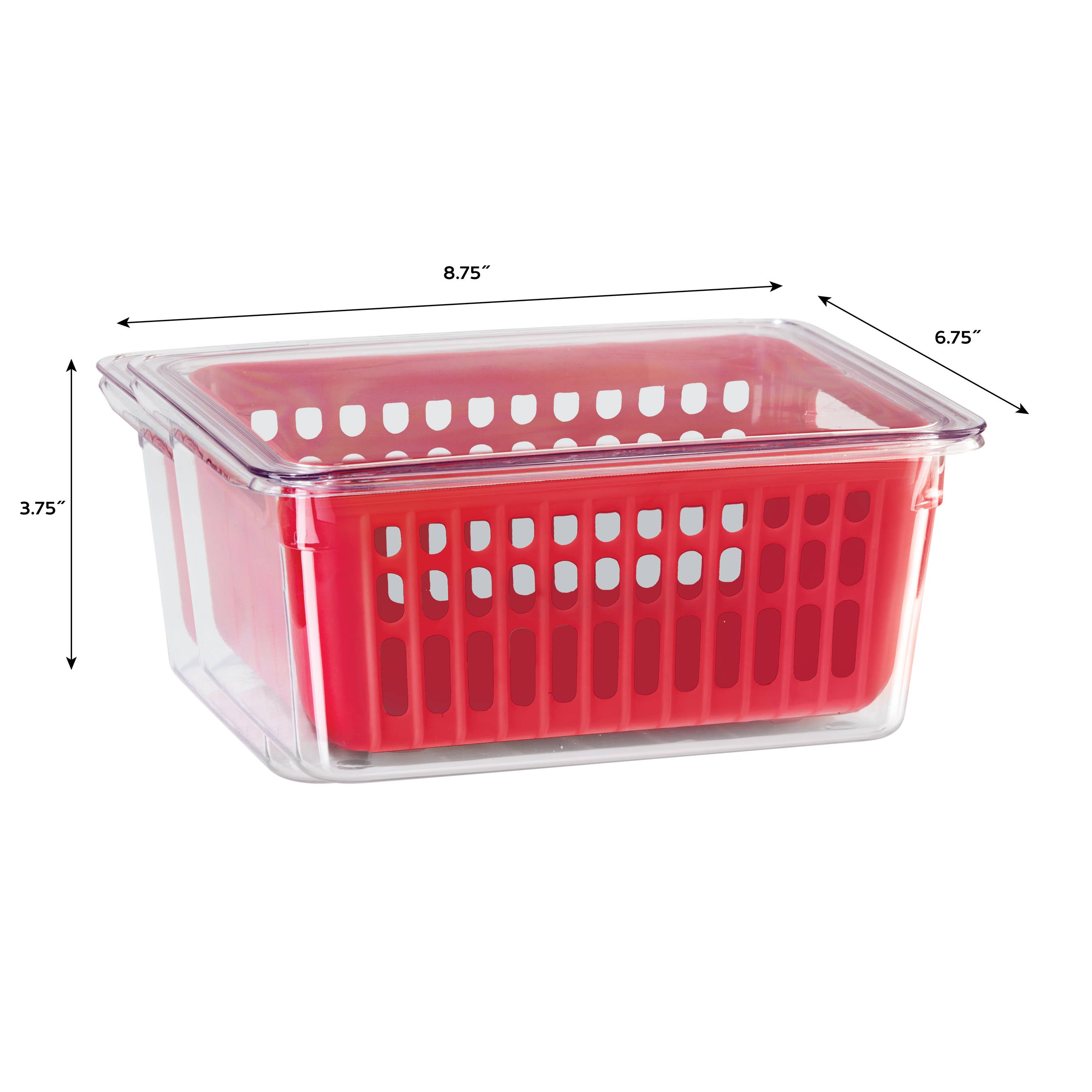 Oggi - Wholesale Food Storage Container - Berry Bin - Single (8.75" x 6.75" x 3.75")2