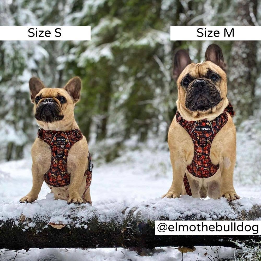 Trufois - Vente Harnais – chien - Harnais Sisu - Chute et Vol4