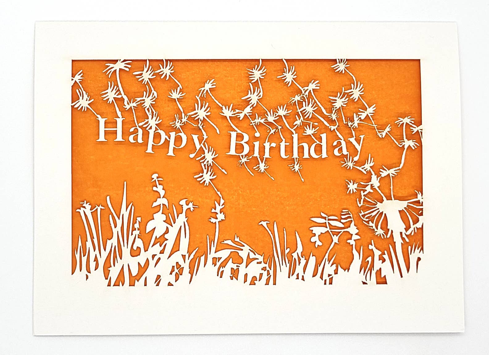 two hermanas - Wholesale Verjaardagskaartje - Fijne verjaardag - Paardebloem waait in de wind - doe een wens4