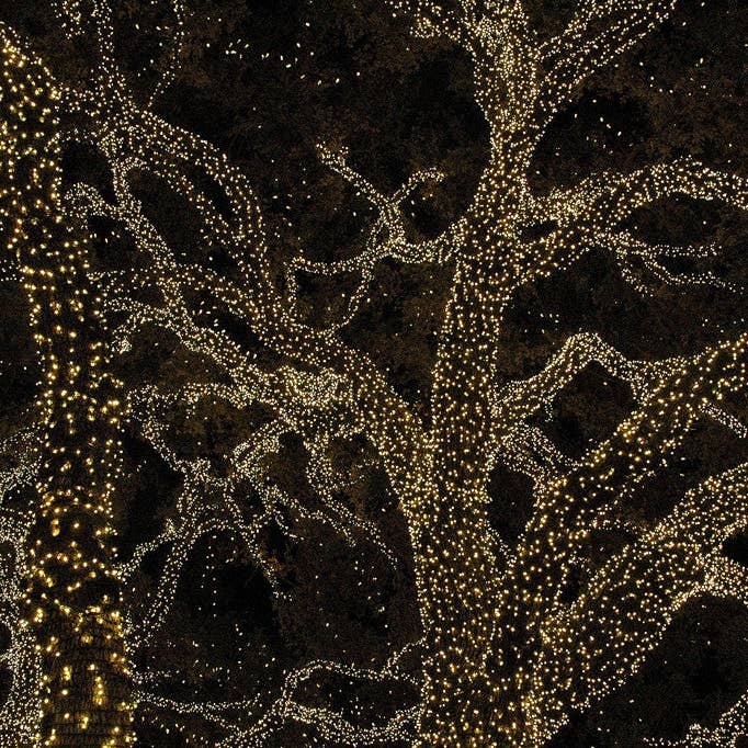 Bosque de Navidad #2 para venta al por mayor de Ann Woodall Studios