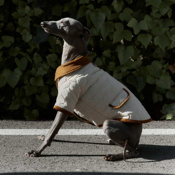 ARISTOPET – wholesale Hundjacka - Hund – Spencer-jacka för husdjur med vaddering och stilren design17