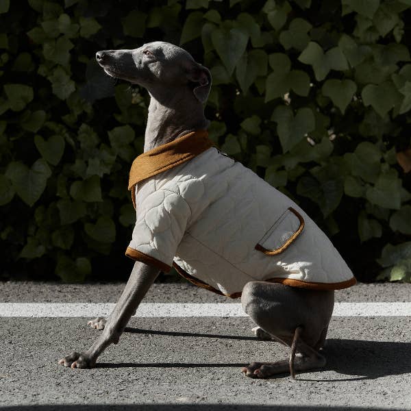 ARISTOPET - Wholesale Pet Jacket - Dog - SPENCER JACKET17