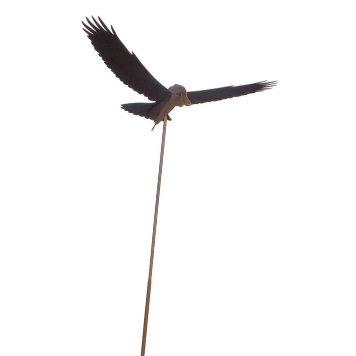 Art de jardin Kookaburra Flying Stake pour la vente par Overwrought