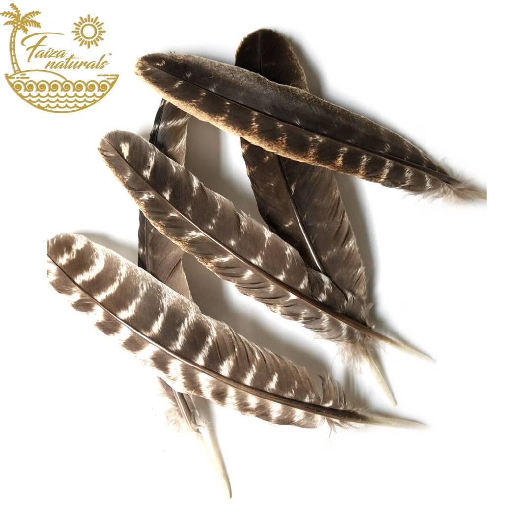 Faiza Naturals - Wholesale Sage Bundle - Feathers for Smudging1