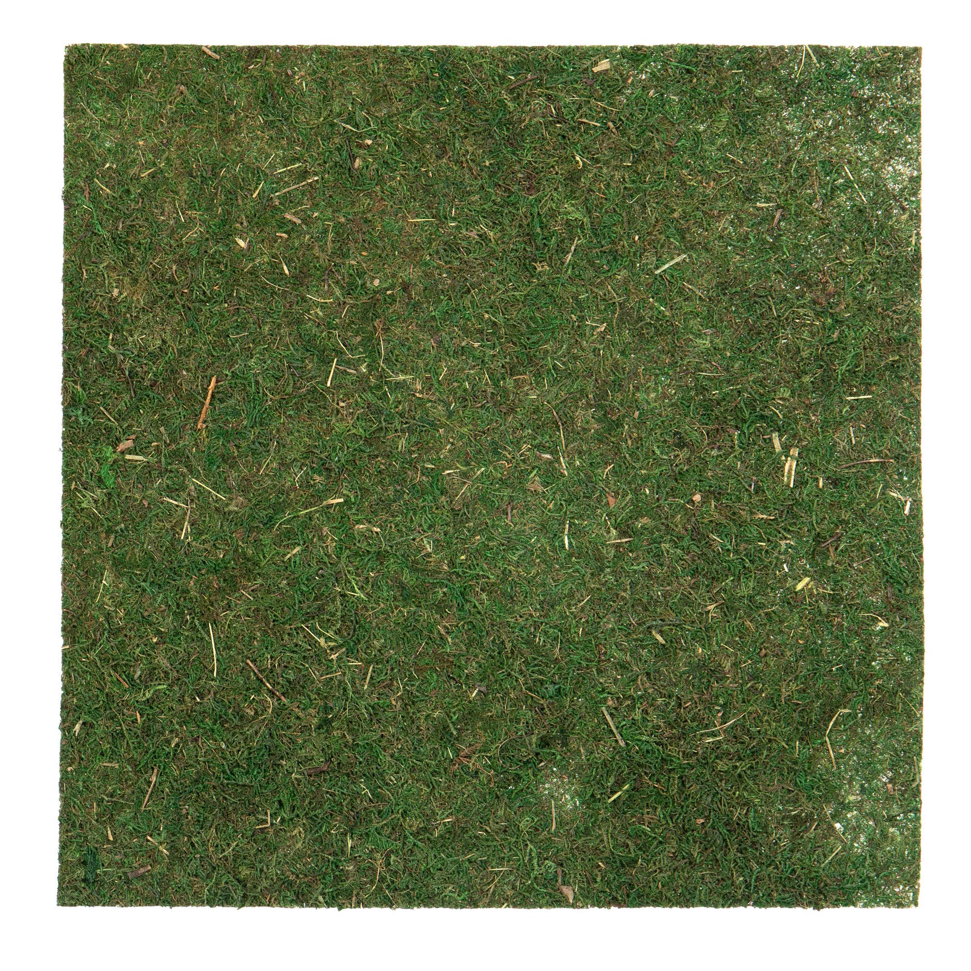 Willow Group - Wholesale Decorative Tabletop Object - SQ MOSS MAT0