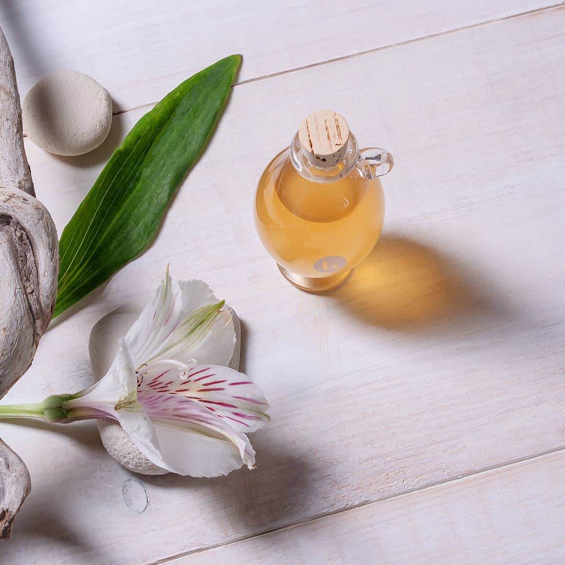 Katari Beauty - Wholesale Eyelash/Brow Serum - Black Castor Hair & Brow Oil 100% Cold-Pressed Oil4