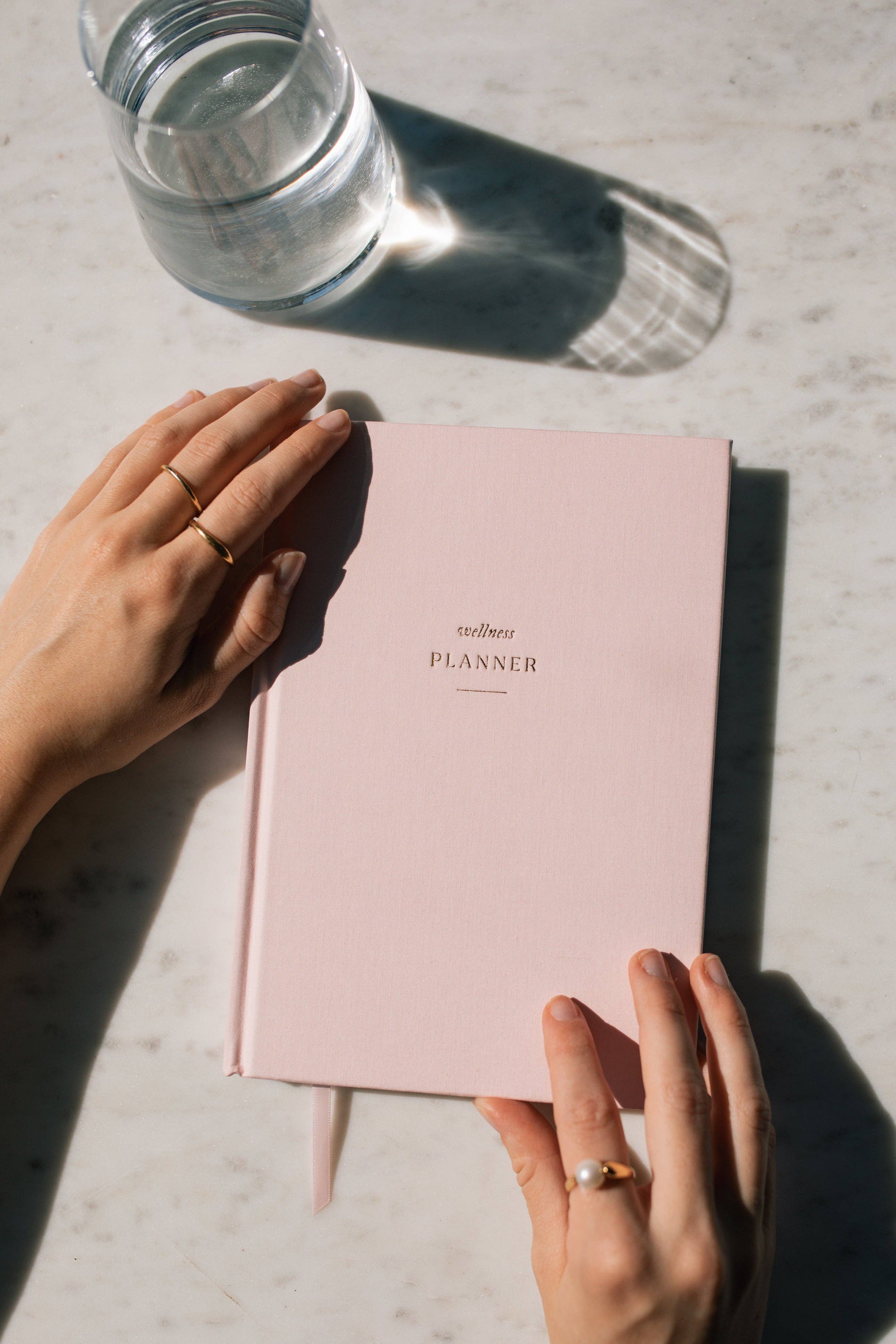 Strawberry Goose - Wholesale Planner - Wellness Planner11