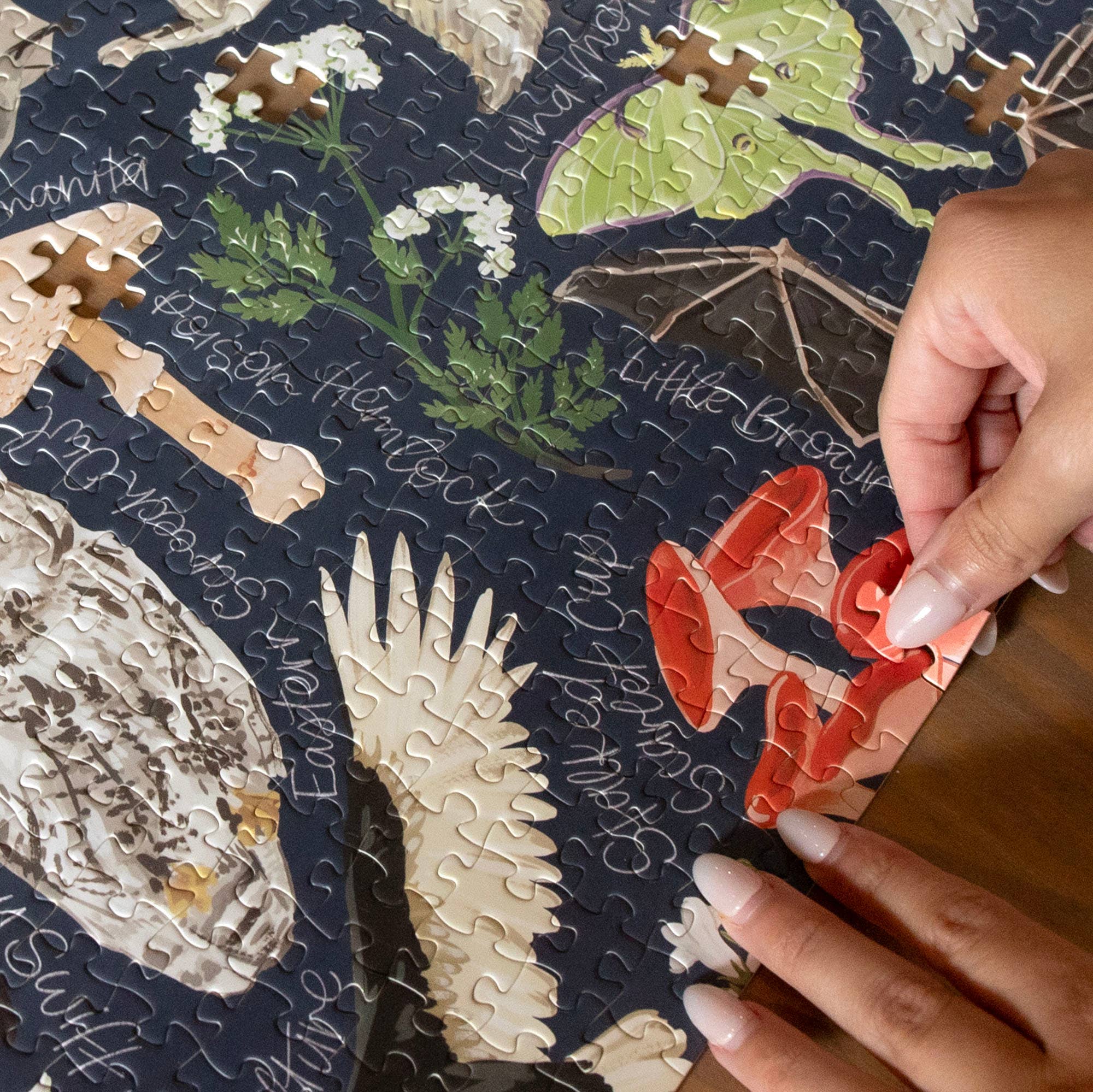 1canoe2 | One Canoe Two Paper Co. - Wholesale Puzzle - Adult - Midnight Flora & Fauna - 1000 Piece Jigsaw Puzzle7