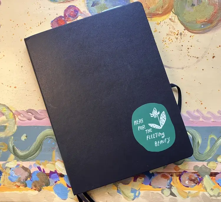 Ironweed Arts - Wholesale Sticker - Sticker: Trout lily / Here for the fleeting beauty1