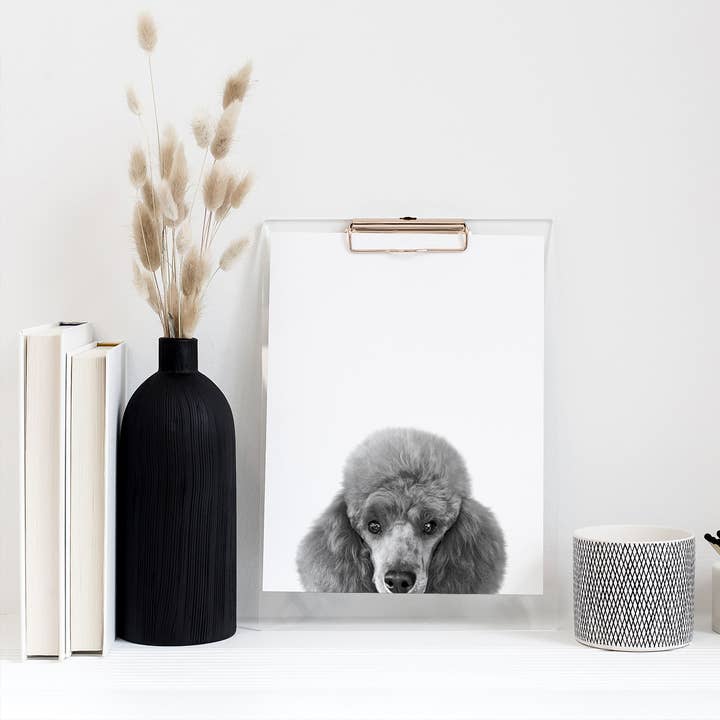 Poodle Unframed Peeking Print for wholesale by Perkie Prints