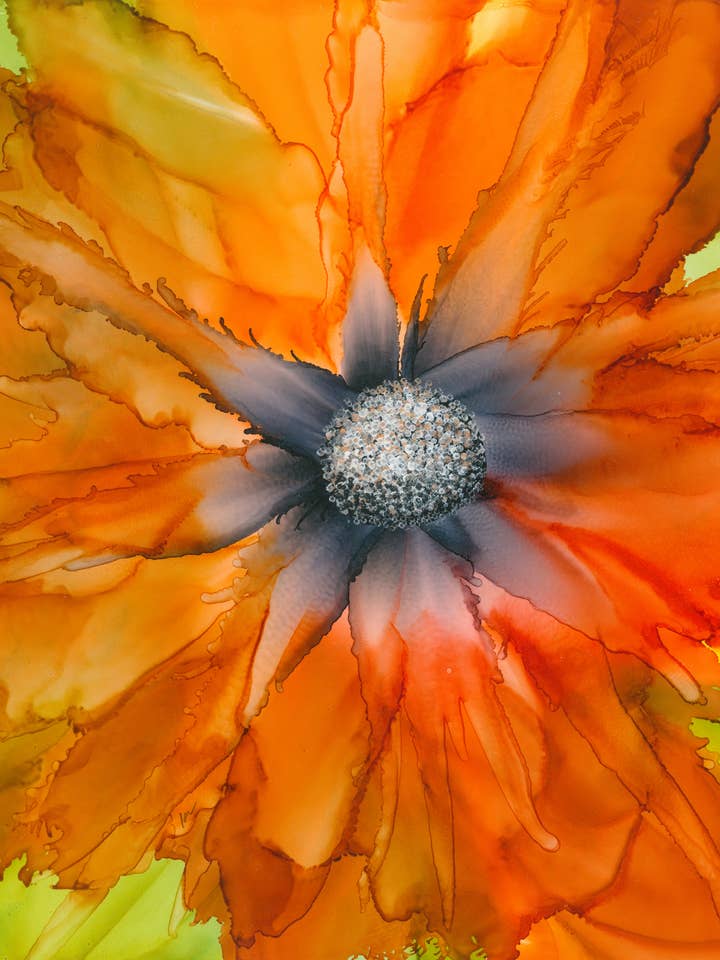 Fiesta Bloom von Kristine VanderSchaaff für den Großhandel von Something To Write Home About