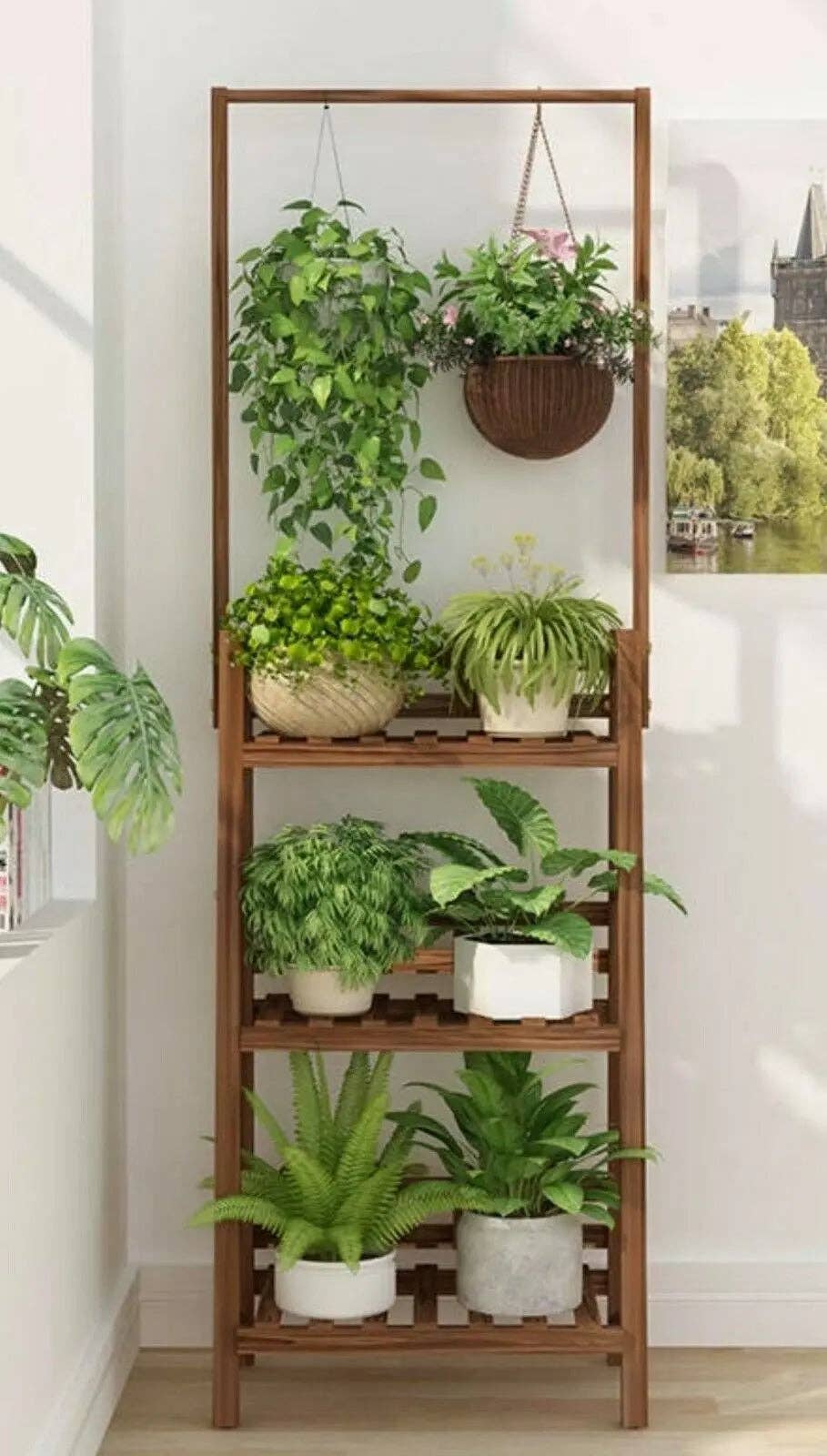 everythingbamboo - Vente Supports de plantes - Étagère porte-plante en pin massif avec barre suspendue, décor jardin intérieur et extérieur28