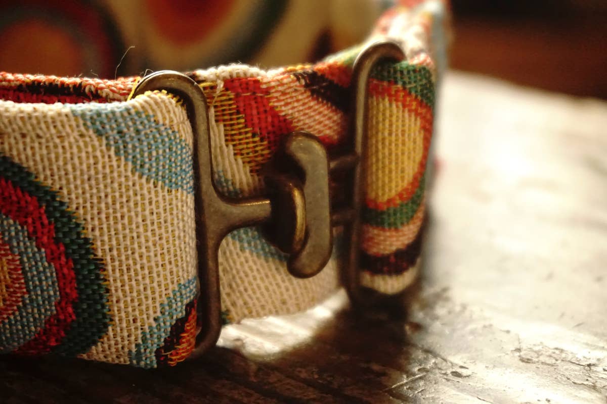 hundsfutter - Wholesale Pet Collar - Dog - Wide collar Jimmy6