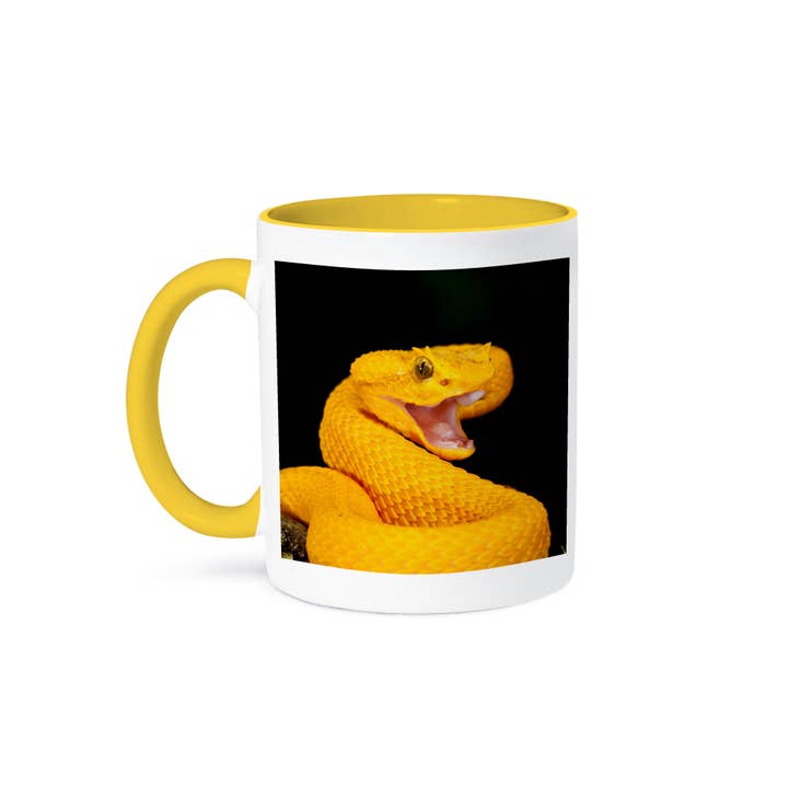 3dRose - Wholesale Coffee Mug - 3dRose, Eyelash Viper snake - NA02 DNO0896 - David Northcott, Mug
