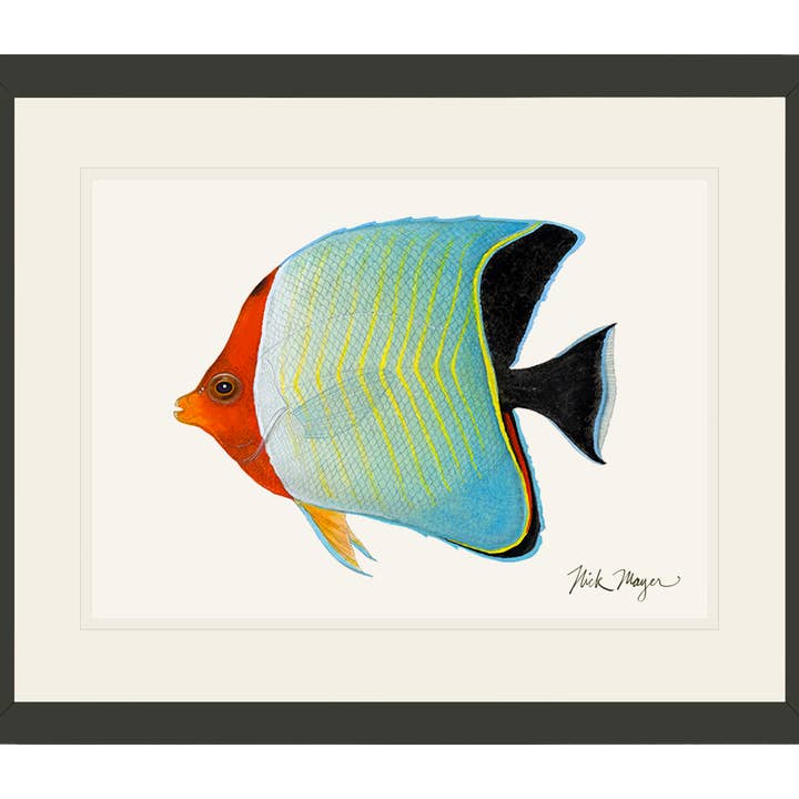 Impressão de Edição Limitada de Peixe-borboleta com Capuz - NOVO por atacado de Nick Mayer Art