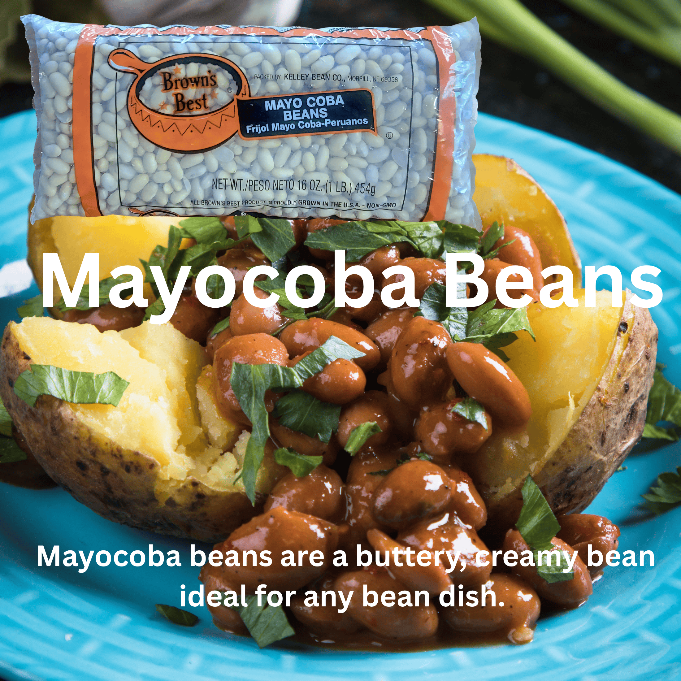 Candy Barn Express - Wholesale Beans - Mayocoba Beans 24 Count of 1 LB. Bags2