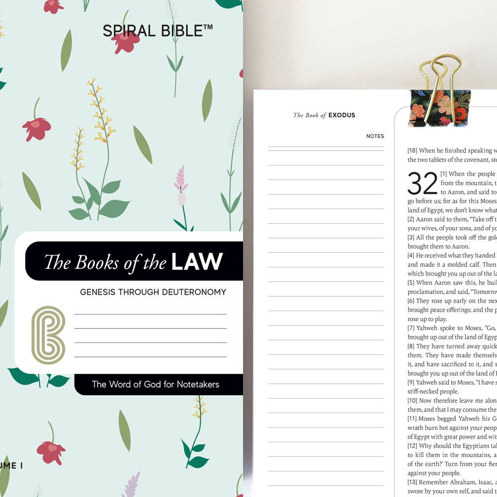 Spiral Bible - Wholesale Display Book - Spiral Bible™ - WEB - Genesis - Deuteronomy3