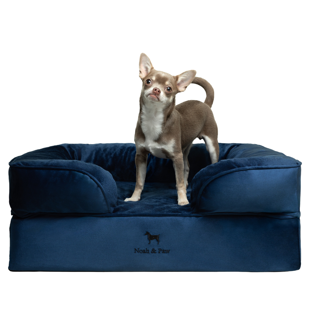 NOAH AND PAW LLC - Wholesale Bed voor huisdieren- Kat/hond - Velvet orthopedisch hondenbed met memoryfoam en verkoelende gel19