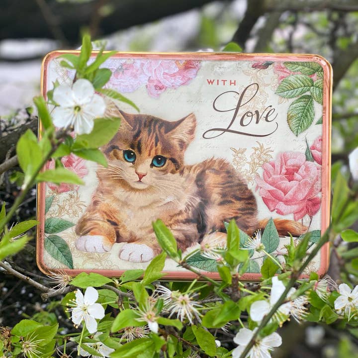 Tin Treats – wholesale Kitchen storage/organiser – Nostalgia - With Love Kitten Deep Rectangular Tin with Biscuits1