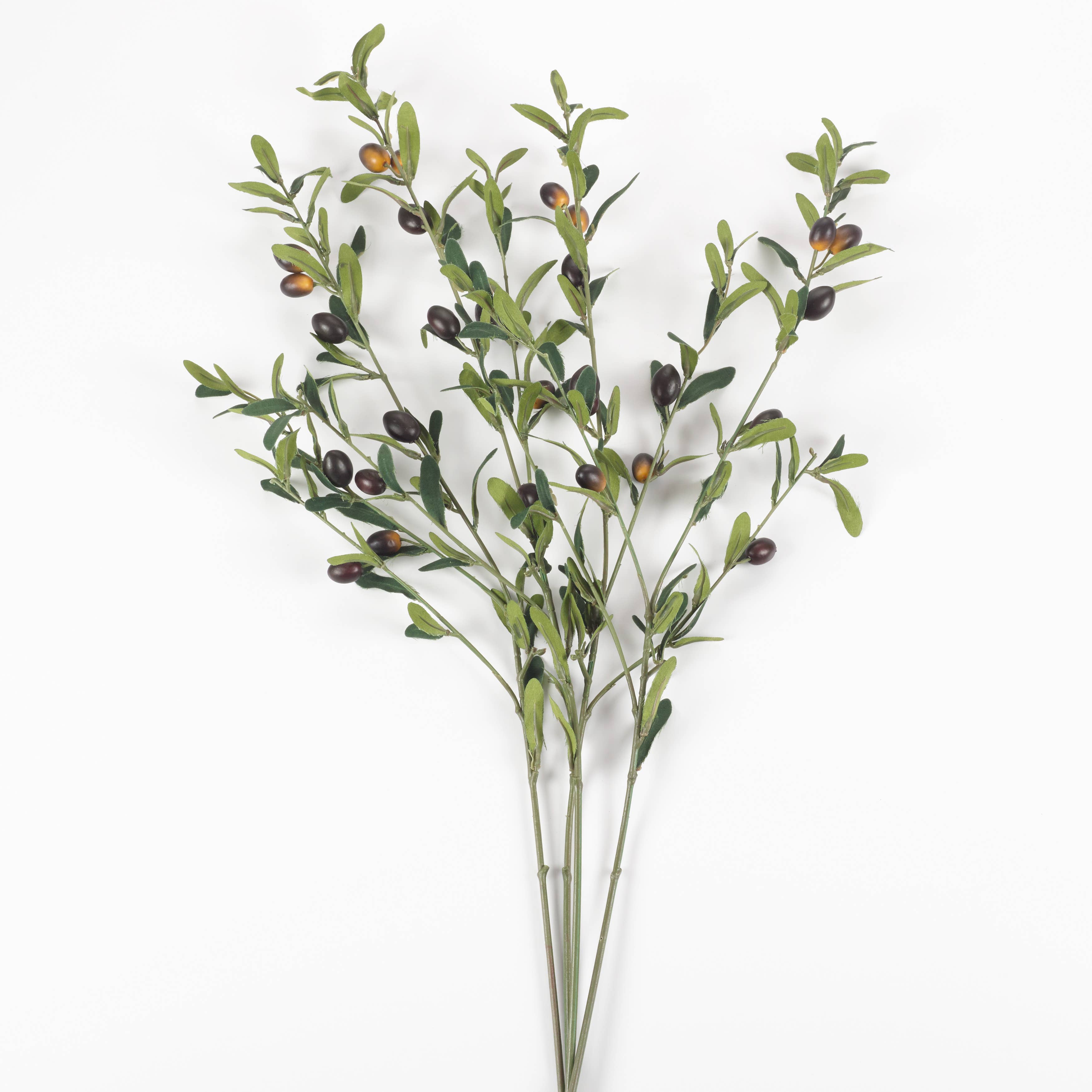 Green Olive Branch - 29" for wholesale on Faire2