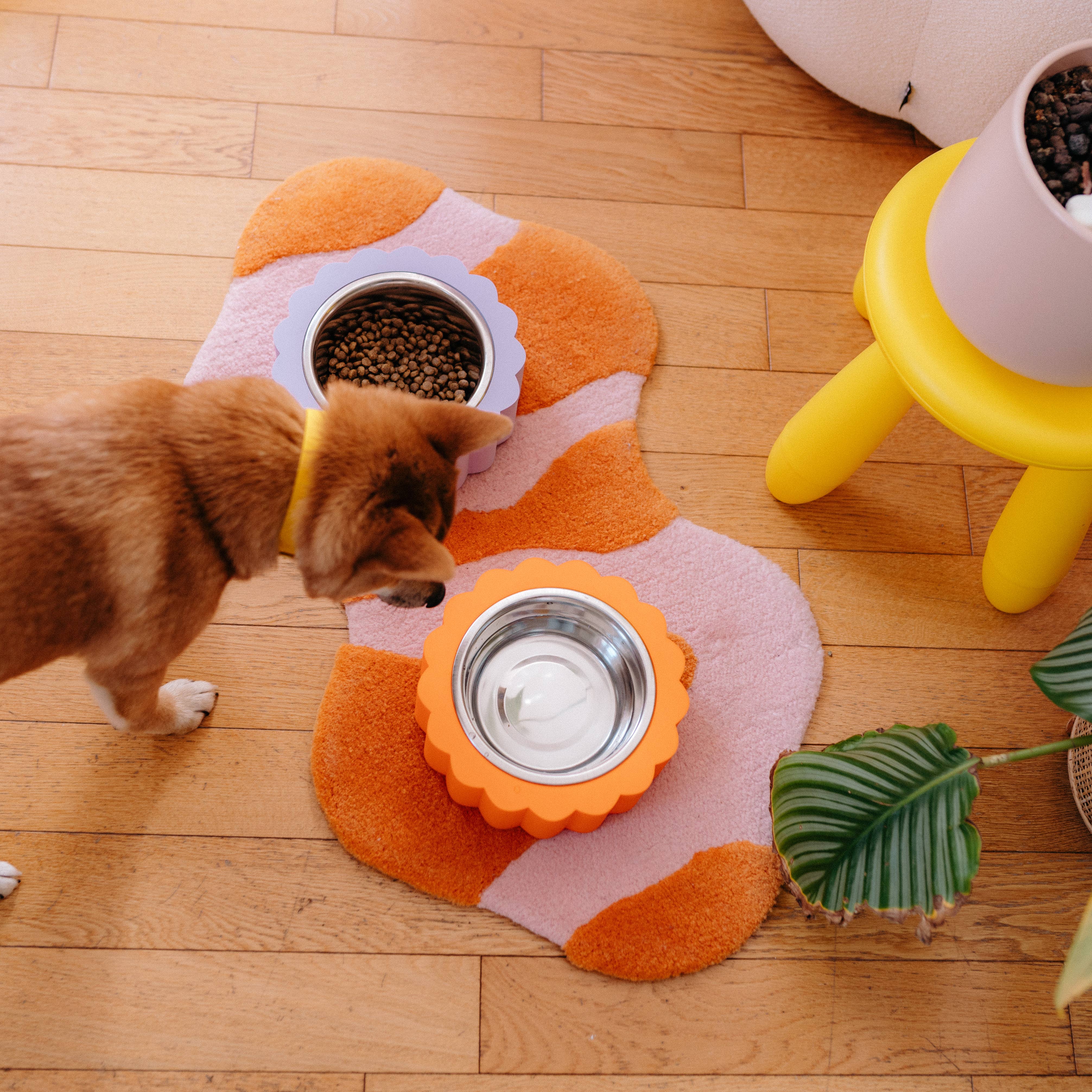 Oscar & co - Wholesale Pet Bowl - Cat/Dog - Dog bowl in the shape of a daisy6