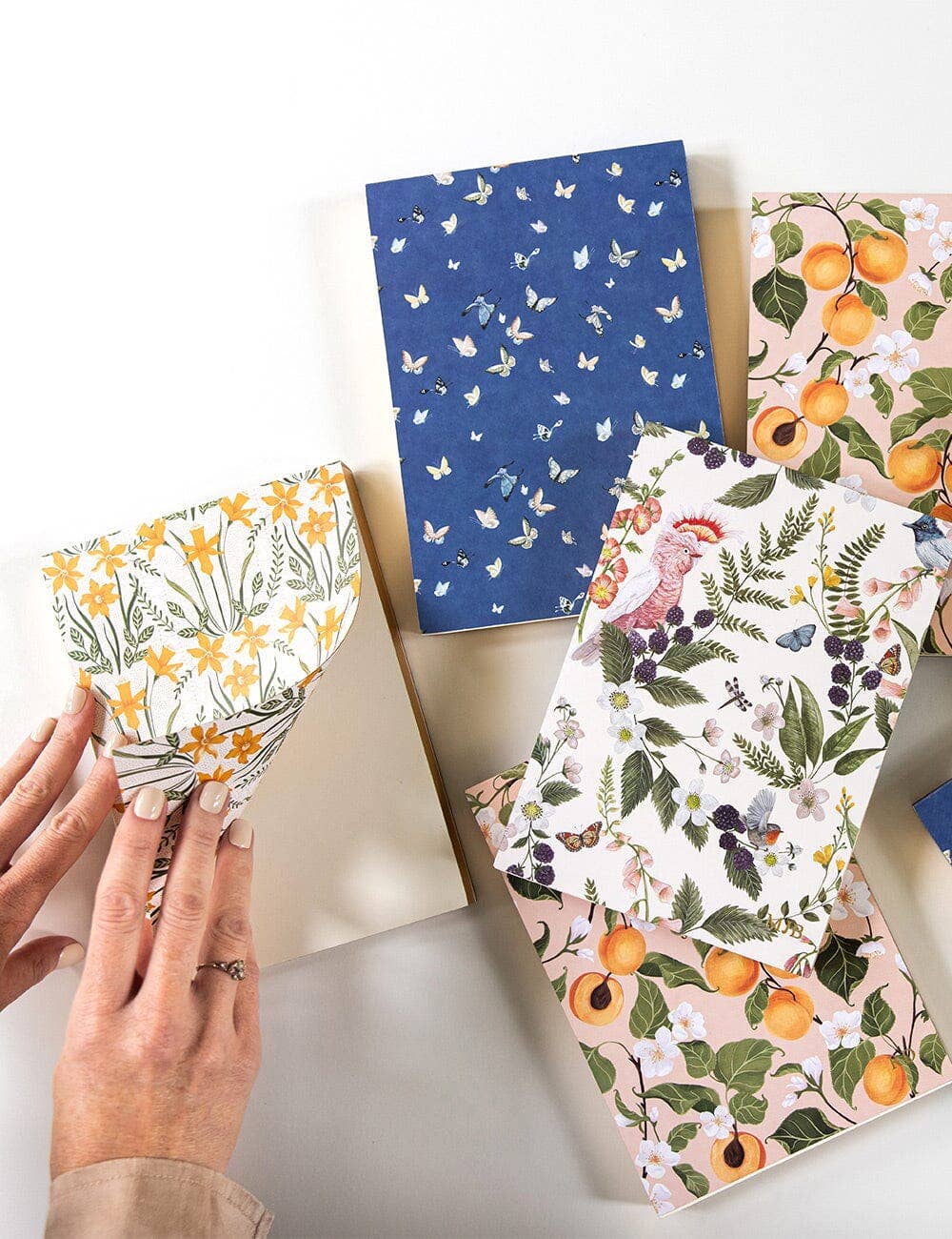 Bespoke Letterpress - Wholesale Notepad - Daffodil Notepad Desktop Jotter7