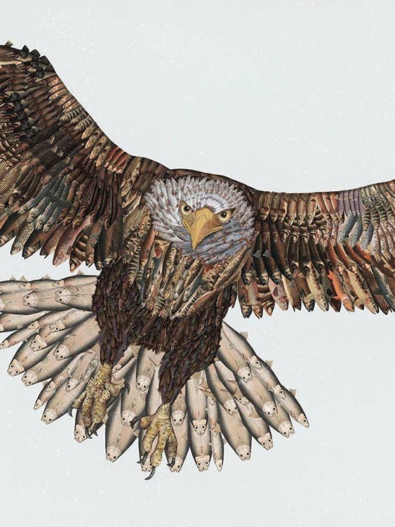 Flying Eagle for wholesale by Brenda Bogart