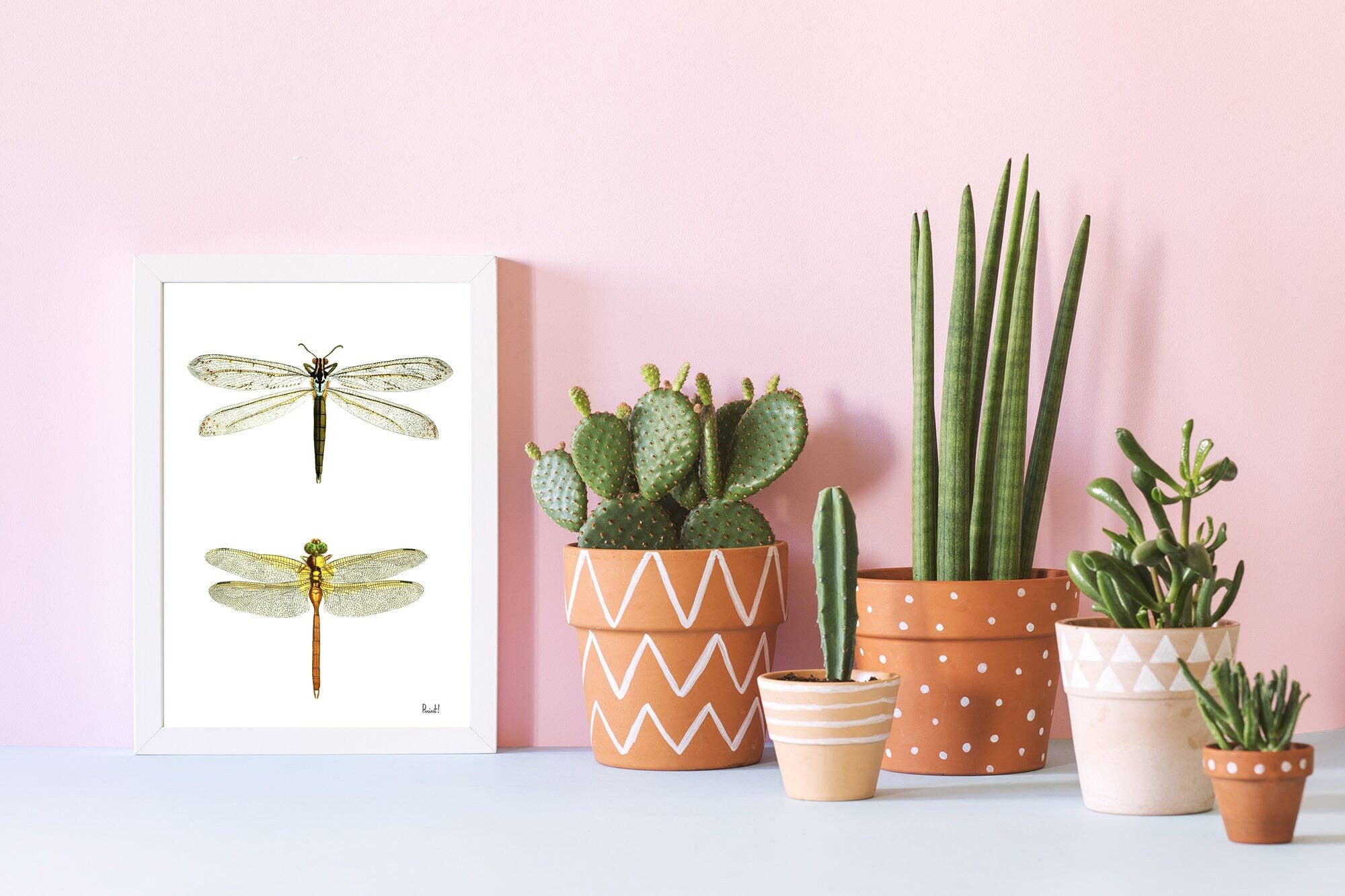 PRRINT! - Wholesale Art Print - Dragonflies wall art4