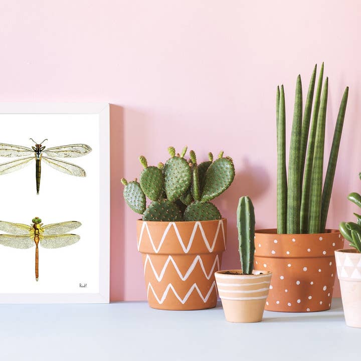 PRRINT! - Wholesale Art Print - Dragonflies wall art4