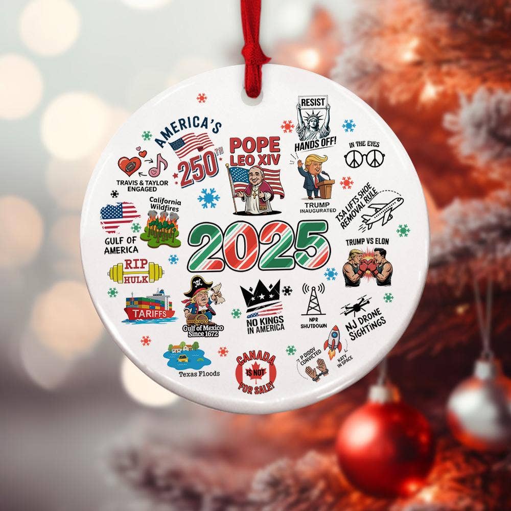 TMLECOM LTD – wholesale Ornament – 2025 Year in Review Ornament, Funny 2025 Christmas Ornament3