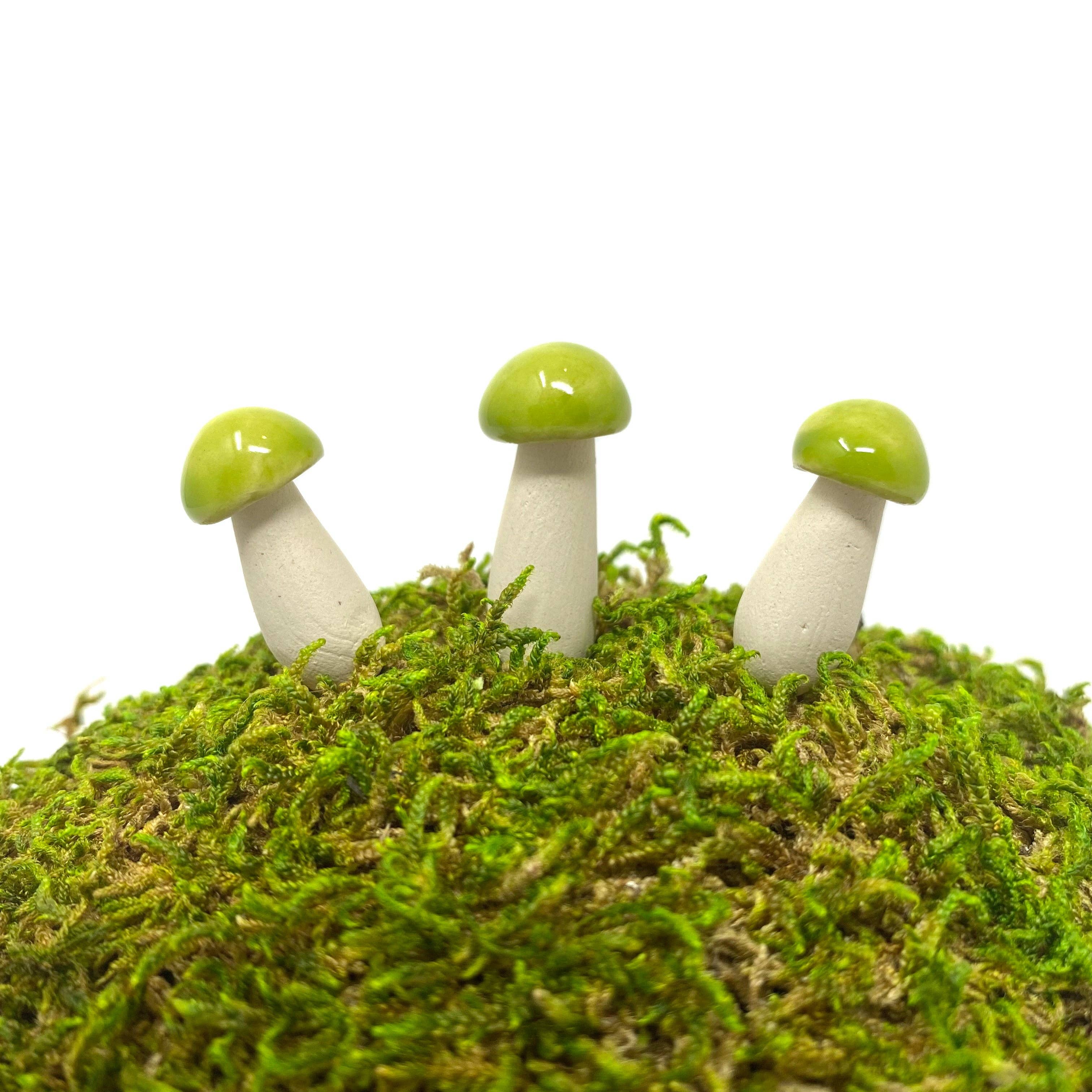 Handpicked Ceramics - Wholesale Decorative Tabletop Object - Miniature Ceramic Mushrooms4