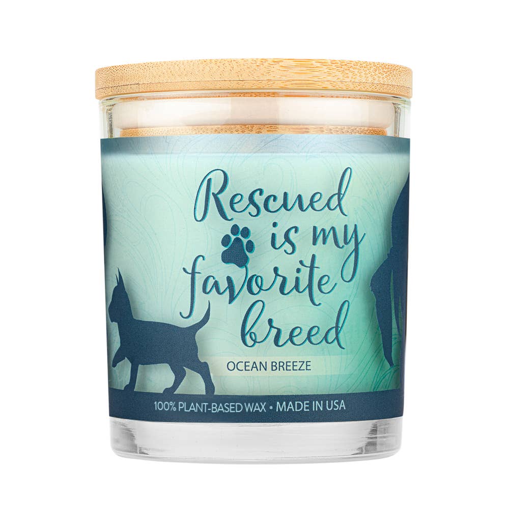 Pet House by One Fur All - Wholesale Retailer Display - Home & Living - Sentiments Display 9 oz Candle - For pet-loving homes3