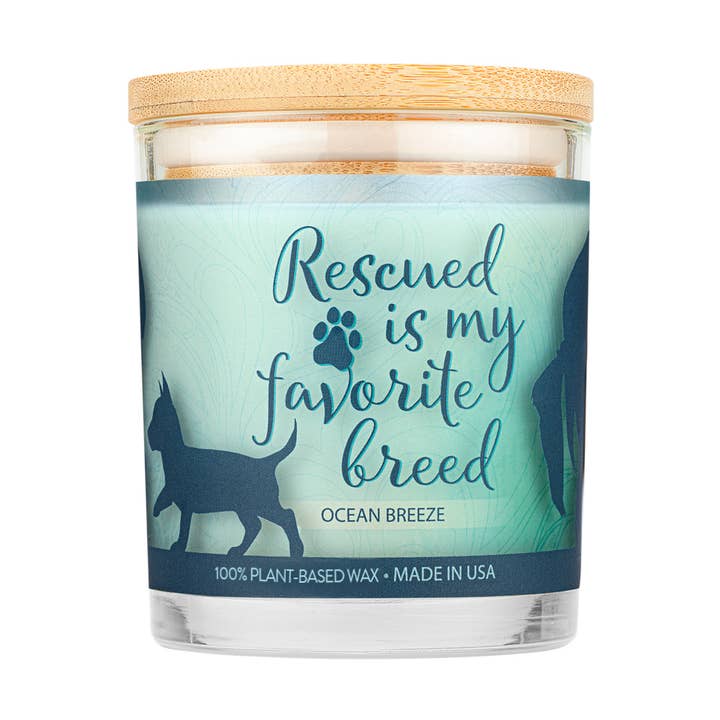 Sentiments Ocean Breeze Bougie 9 oz pour la vente par Pet House by One Fur All