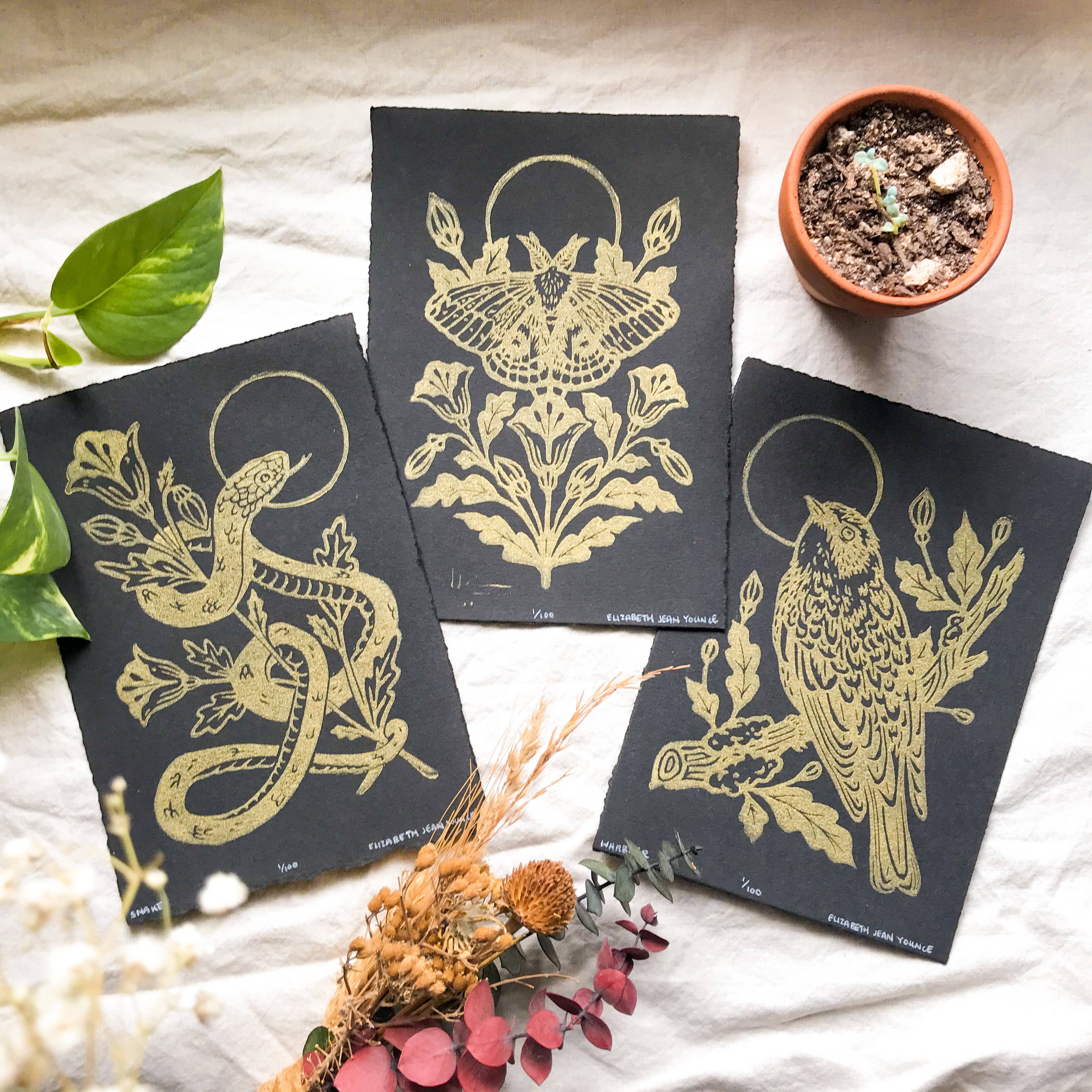 Mustard Beetle - Wholesale Art Print - IO Moth & Poppies Handprinted Linocut on Handmade Paper 5x7"2