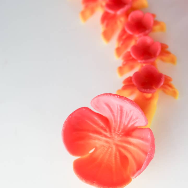 Ruby’s dragons - Venta al por mayor Figura decorativa - Dragones Amapola de Impresión 3D Medianos - Colores Surtidos5