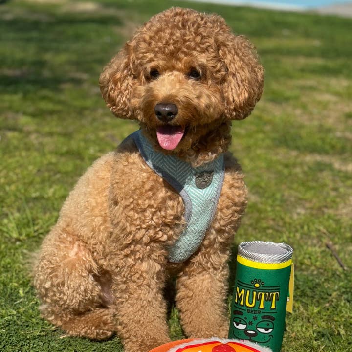 WufWuf - Wholesale Pet Squeaky Toy - Dog - WufWuf Mutt Beer, Squeaky Plush Dog Toy5