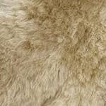 Tambo Teddies - Wholesale Stuffed/plush toy – Kids & baby - Toby Tambo Teddy2