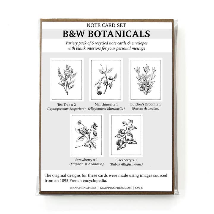 Set aus 6 Karten — 100% recycelte B&W Botanicals Kartenkollektion für den Großhandel von Knapping Press