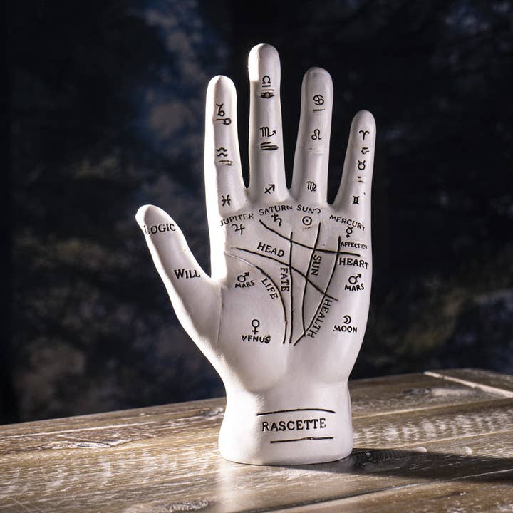 Quiromante Mão de Palma Quiromancia por atacado de Pacific Trading