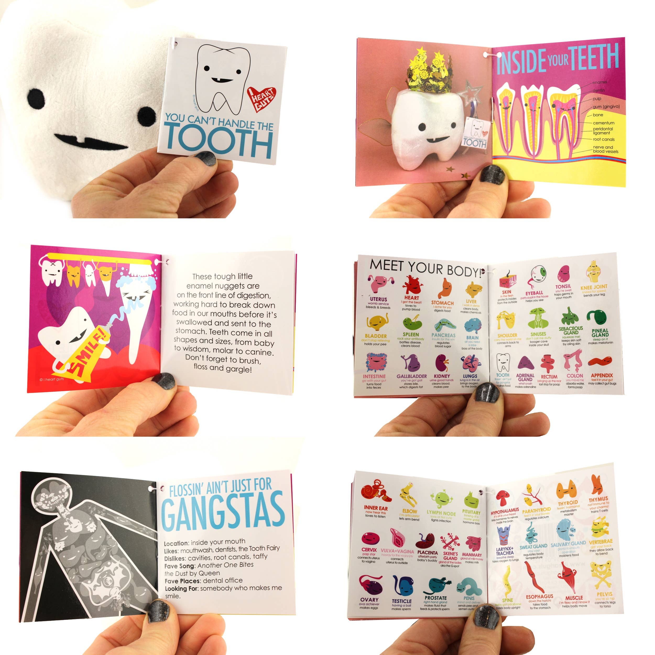 I Heart Guts | Organ Plushies Wholesale – Peluche - Crianças e bebés por atacado – Tooth Plush - Você não consegue lidar com o dente7