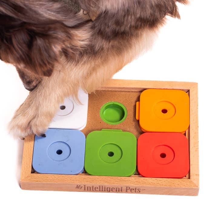 SUDOKU Medium Advanced Color - intelligent pet puzzle for wholesale by My Intelligent Dogs