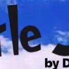 Little Joe USA - Wholesale Air Freshener - LITTLE DOG OCEAN SPLASH AUTO SMALL SPACE AIR FRESHENER4