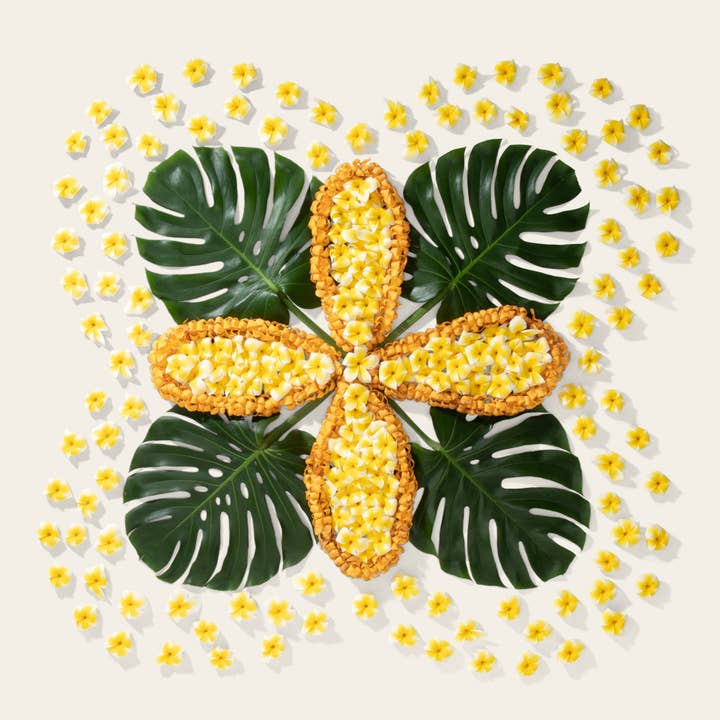 Hut, Hut, Hou! - Oct. 22 Collection for wholesale by Lola Pilar Hawaii