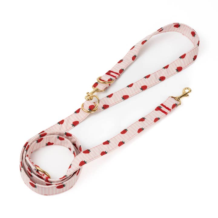 Strawberry Vibes Belt for wholesale by B de Bruno