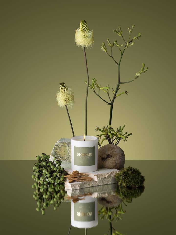 BUSKVANDRING för wholesale av Senkou