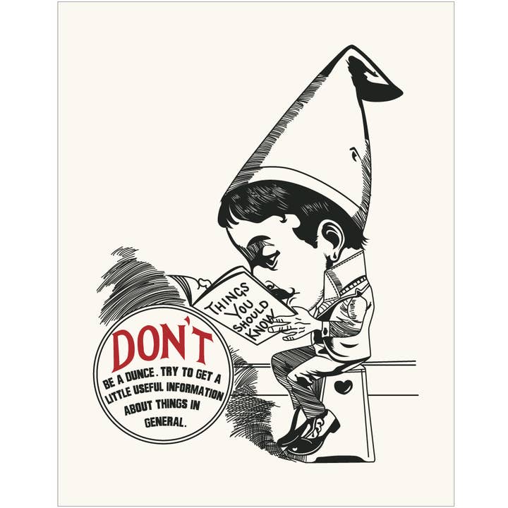 2.5'' x 3.5'' Don't Be A Dunce Magnet for wholesale by Fridgedoor