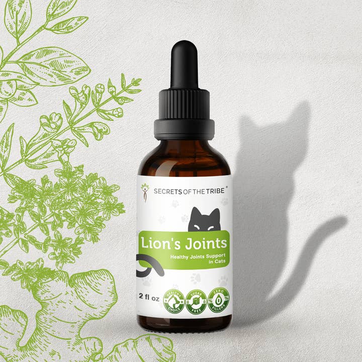 Løvens Led. Sund Ledstøtte til Katte for engroshandel hos Secrets Of The Tribe